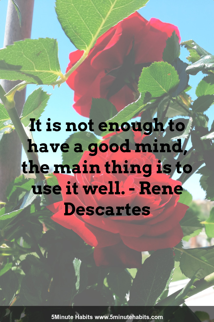 It is not enough to have a good mind, the main thing is to use it well. - Rene Descartes
